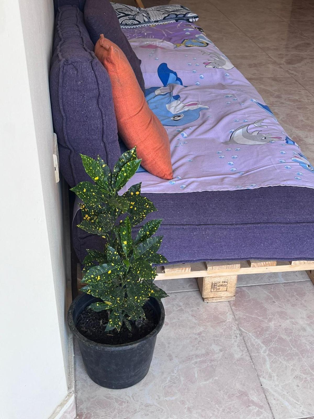 Bed In Raheem Guest House More Than Accommodation Кайро Екстериор снимка